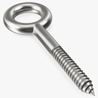 3D Eye Lag Screw model