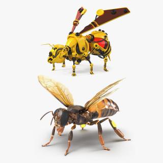 Rigged Honey Bee with Robot Bee Collection 3D