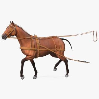 Horse Drawn Leather Driving Harness Rigged 3D
