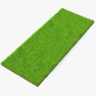 Lawn Turf Roll Unfolded Fur 3D