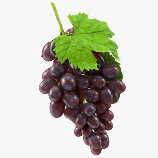 3D model Bunch of Dark Grapes