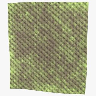 3D Dirty Kitchen Rag Green model