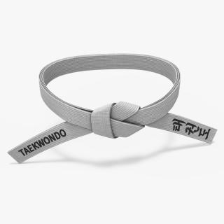 3D model White Waist Taekwondo Belt Obi