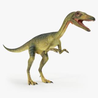 Compsognathus Dinosaur Rigged 3D model