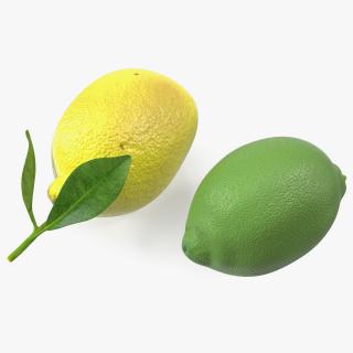 3D model Plastic Green and Yellow Lemon