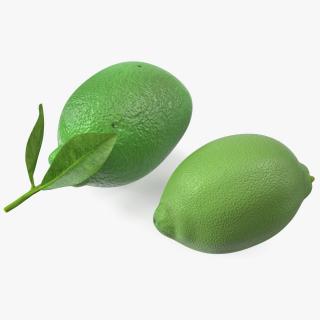 Plastic Green Lemon 3D model