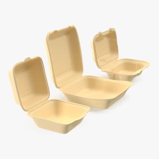 3D Bagasse Food Container Set