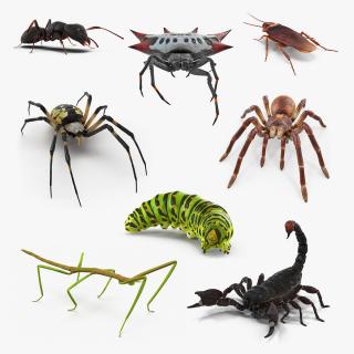 Creeping Insects Collection 2 3D model