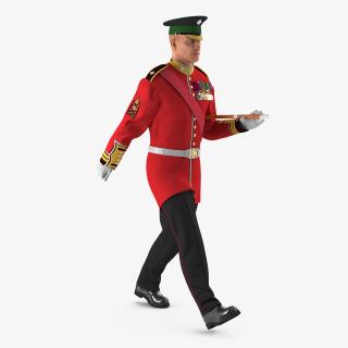 Irish Guard Sergeant Rigged 3D