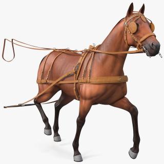 3D model Horse Drawn Leather Harness Walking Pose