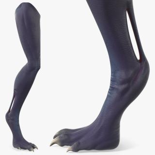 3D Scary Creature Leg model