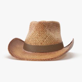 3D Straw Cowboy Hat 2 model