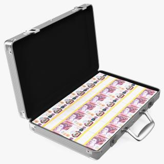 3D Suitcase Full of Pounds model