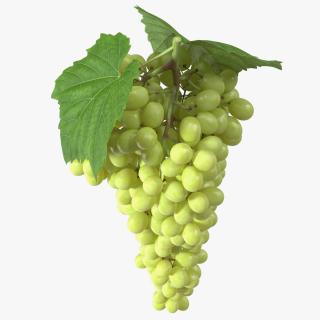 Green Sultana Grape Cluster 3D