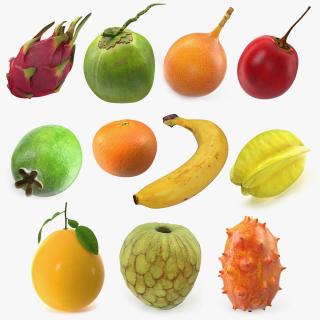 3D Exotic Fruits Collection 5