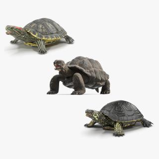 Rigged Turtles Collection 4 3D