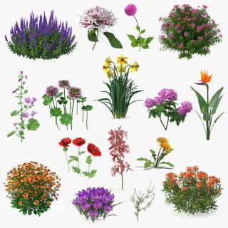 3D model Flowering Plants Collection 12