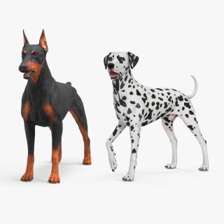 Dogs Collection 9 3D