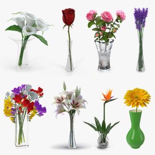 Flowers in Vases 3D Models Collection 3D