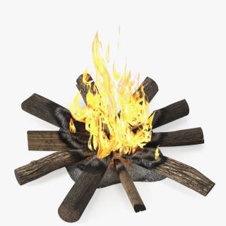 3D Campfire with Burning Logs