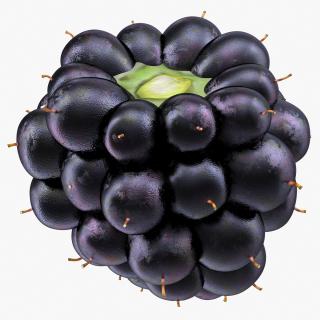 3D Blackberry Fruit