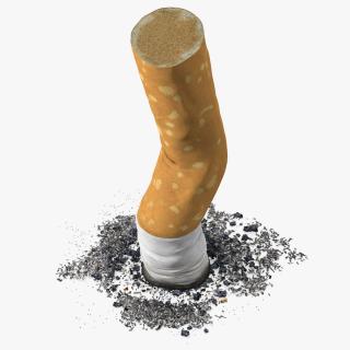 Extinguished Cigarette Butt 3D