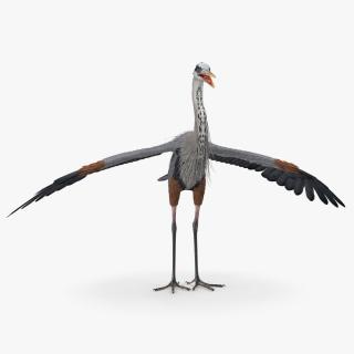 3D Great Blue Heron