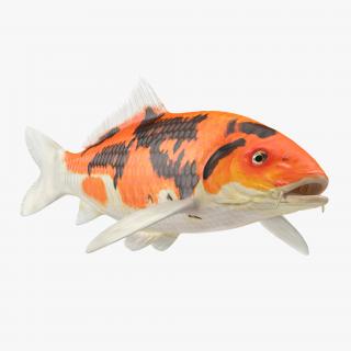 3D model Koi Fish