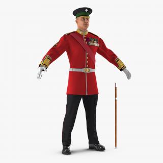 3D model Irish Guard Sergeant