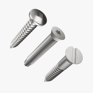 3D Metal Screws Collection model