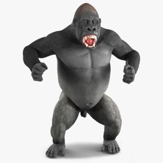 3D Roaring Gorilla Animated Rigged