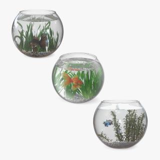 3D Round Aquariums with Fishes Collection model