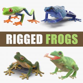 3D model Rigged Frogs Collection 2