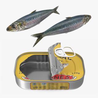 Sardine Fish with Open Can Collection 3D