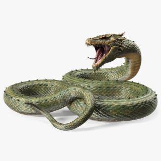 3D Aggressive Serpentine Dragon model