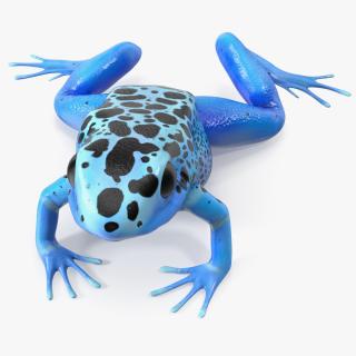 3D model Poison Dart Frog Blue Crawling Pose