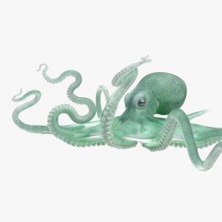 3D Large Blue Octopus model