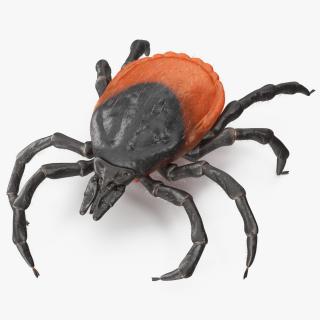 Tick Crawling Pose Fur 3D