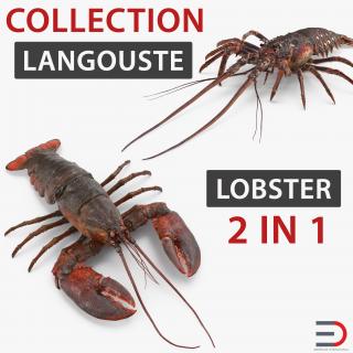 Lobster and Langouste Collection 3D