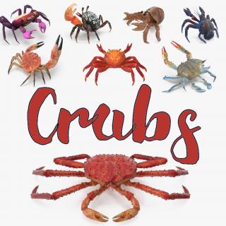 3D Crabs 3D Models Collection 3 model