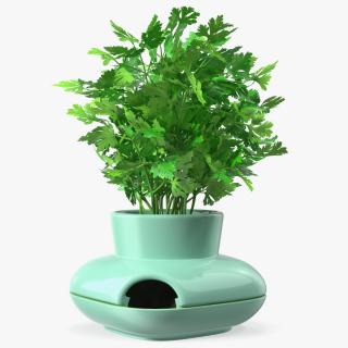 Stoneware Single Herb Pot Green with Parsley 3D model