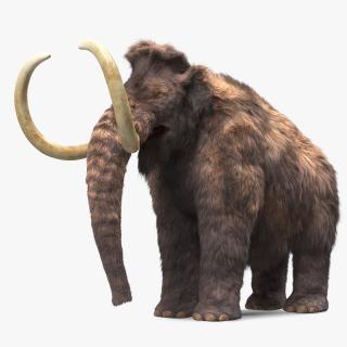 Mammoth Adult Fur Rigged 3D model