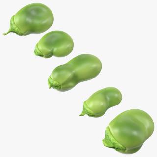 Fresh Broad Beans 3D