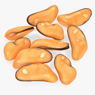 3D Bunch of Peeled Mussels model