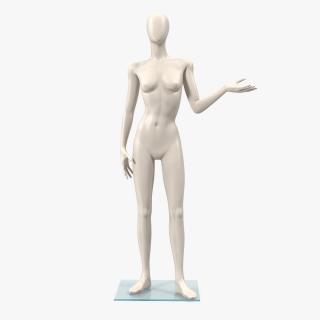 3D Female Mannequin Rigged model