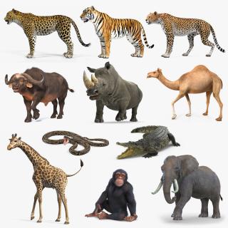 3D model Rigged African Animals Collection 8