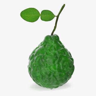 Bergamot Fruit with Leaf 3D model