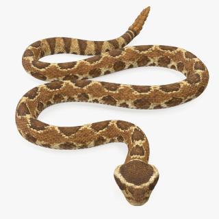 3D Light Rattlesnake Crawling Pose