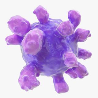 3D model Virus Cell