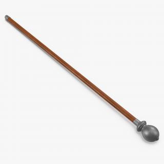 Walking Stick Steel Head 3D model